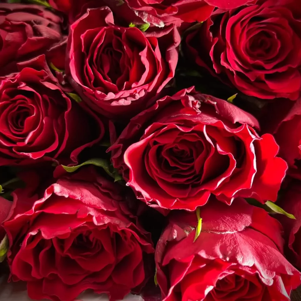 boeket rode rozen M